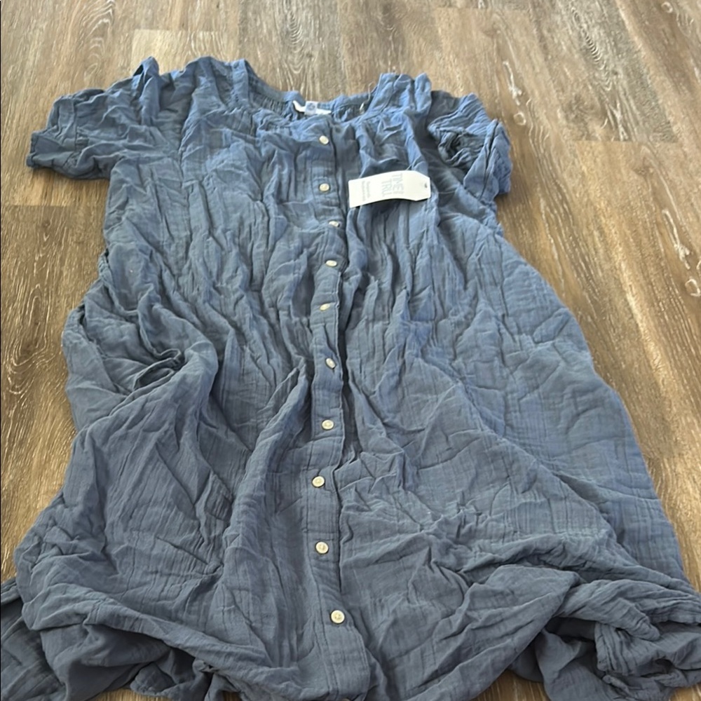 Time and Tru Blue Button-Down Dress